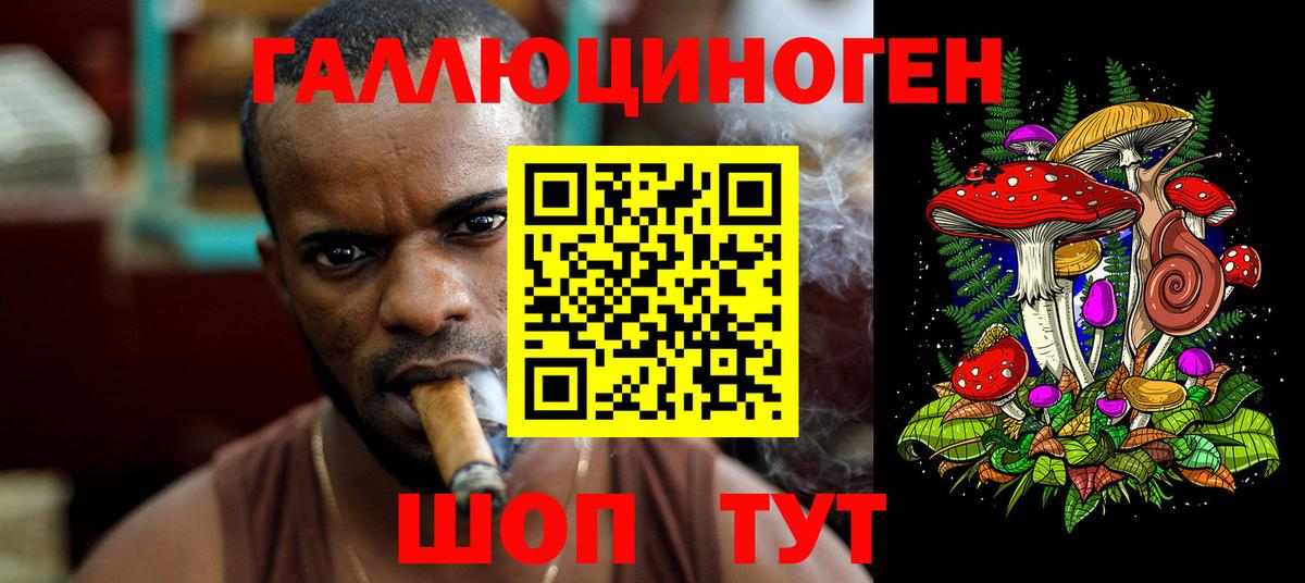 Сосновый Бор  Галлюциногенные грибы Cubensis  Вход с VPN 
