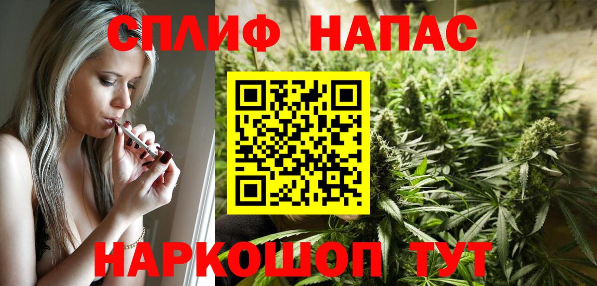 Каннабис планчик  Шишки марихуана LSD WEED  Сосновый Бор  Канабис OG Kush  Вход с VPN  Шишки марихуана THC 21% 